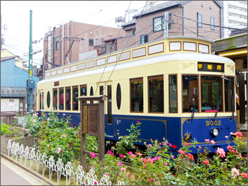 都電荒川線車両